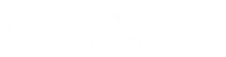 Digitale Klimaneutralität? Das geht – und du kannst mitmachen!